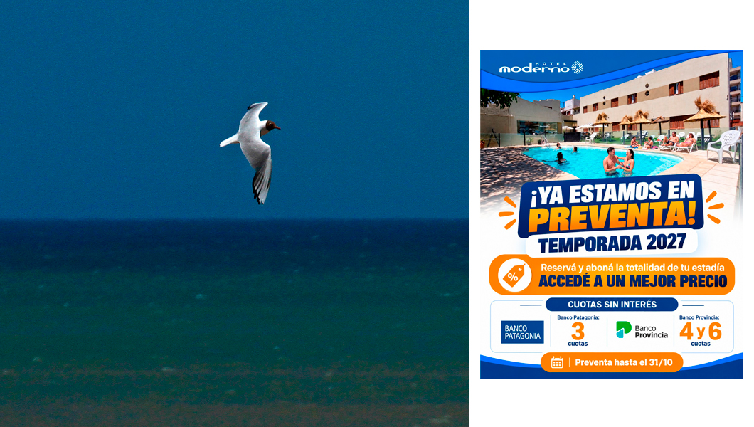 Mar Necochea